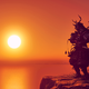 Ghost of Tsushima